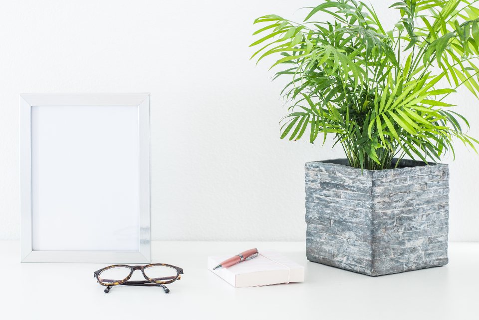 White desk with a blank frame, glasses, pencil and green plant
